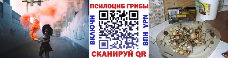 хочу наркоту  Камызяк  Галлюциногенные грибы мухоморы 